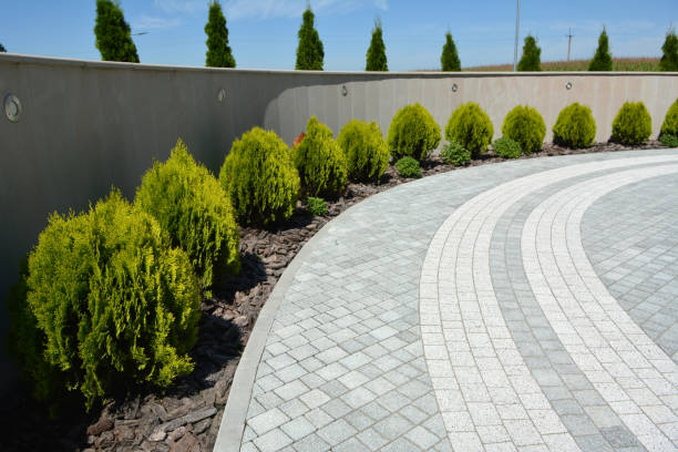 Best Driveway Repair Near Me  in Dade City North, FL